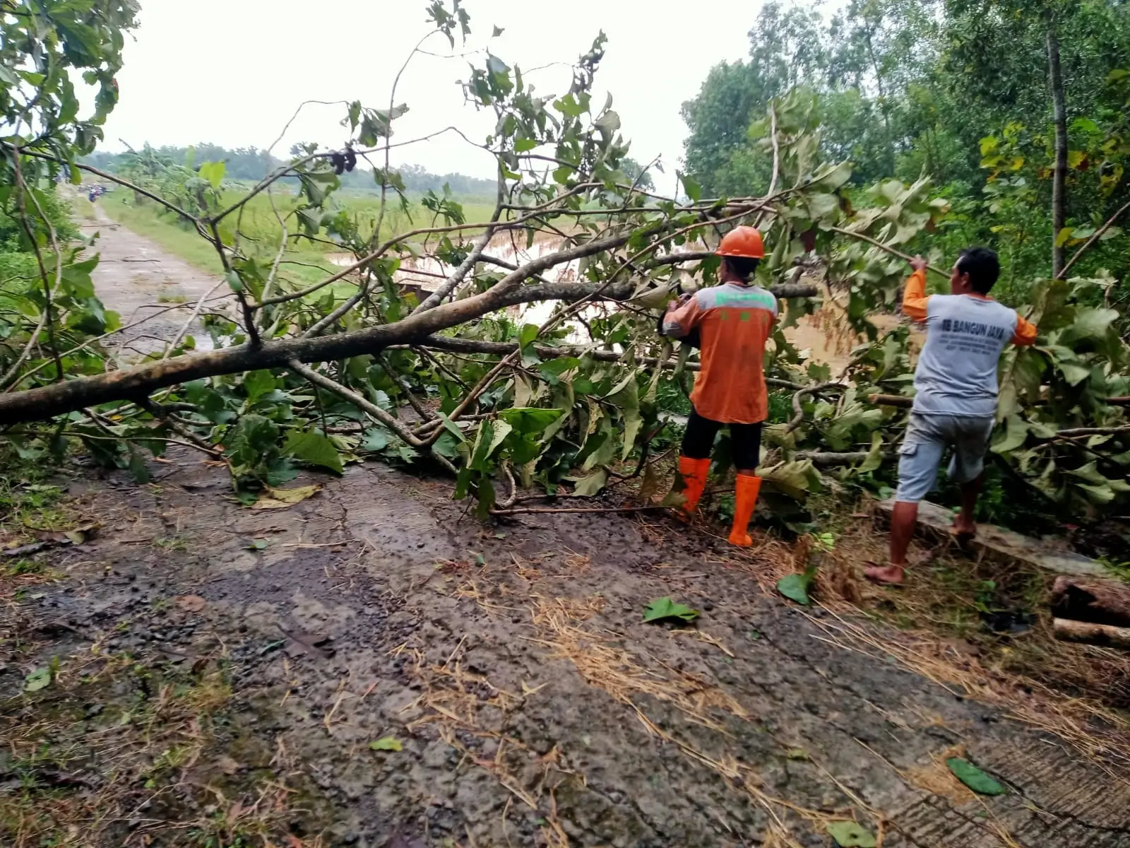 Perkembangan Situasi dan Penanganan Bencana Tanggal 23 Februari 2025